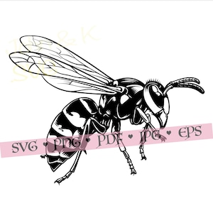 May include: Black and white illustration of a wasp in flight. The insect is depicted with detailed wings, segmented body, and legs. A pink banner with the words "SVG PNG PDF JPG EPS" is across the bottom.