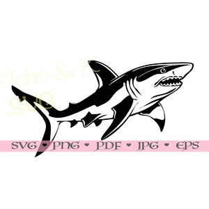 Requin Svg, requin tigre Svg, requin coupe fichier Clipart Cricut Silhouette png jpg pdf eps fer sur vinyle gravure laser, usage Commercial