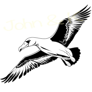 Albatros royal Svg, Svg d’albatros de Nouvelle-Zélande, élégant vecteur d’albatros royal, albatros Svg pour la décoration de vêtements, Cutfile png Pdf jpg