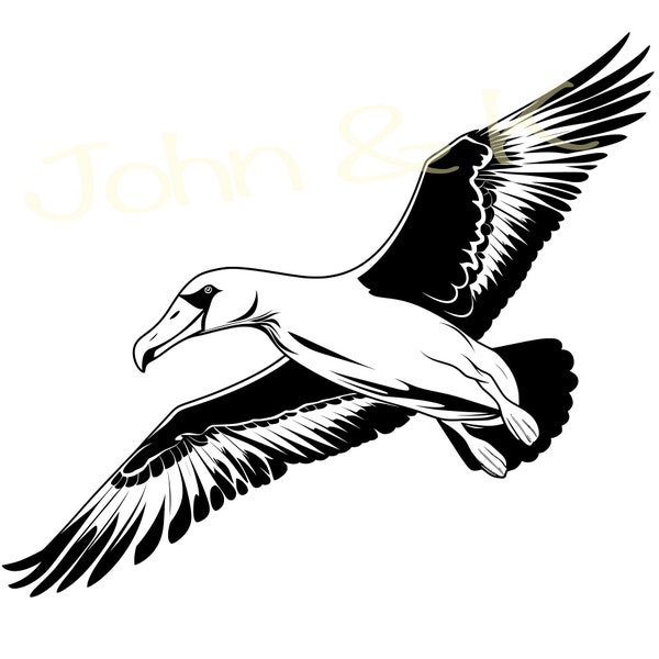 Royal albatross Svg, New Zealand albatross Svg, elegant royal albatross vector, albatross Svg for clothes decoration, Cutfile png Pdf jpg