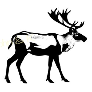 Caribou Svg, Caribou vector, Reindeer svg, Caribou Clipart, Reindeer Svg for Fleece, Shirt, Towel, Cutfile png Pdf jpg