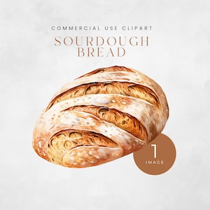 Sourdough Clipart, Sourdough Bread PNG, Bread Illustration, Food Clip Art, Bread Baking Graphic, Bakery Clipart Digital  Download