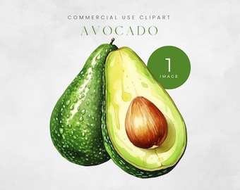 Avocado Clipart, Healthy Food Clip Art, Commercial Use PNG, Scrapbook Sticker, Guacamole Graphics, Instant Download