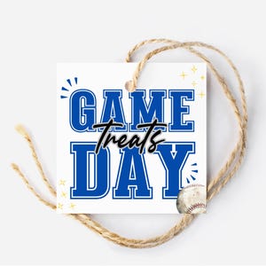 以下が含まれることがあります： 野球のグラフィックが描かれた、"GAME treats DAY"と青い文字が書かれた白いタグ。タグは紐で結ばれています。