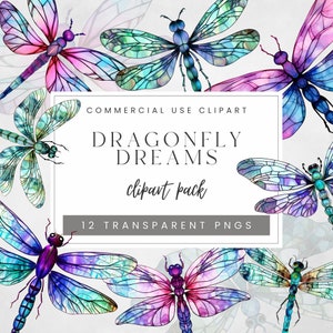 Dragonfly Clipart, Insect Illustrations, Insect Clip Art, PNG Graphics, Watercolor Dragonflies Clipart, Junk Journals, Nature Clipart