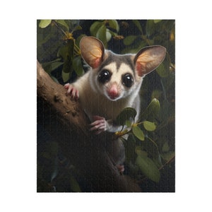 Sugar Glider puzzel (110, 252, 500, 1014-delig) schattige suikerglider