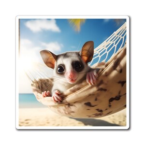Sugar Glider Magnets