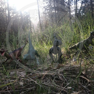 Raptor Squad Toy Photography Glossy (4x6&quot;) Print