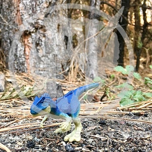 Allosaurus in the Forest Toy Photography 4x6&quot; Glossy Print