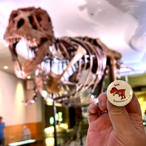 May include: A close-up of a white button with the text "Sue Tyrannosaurus Rex" and a red illustration of a Tyrannosaurus Rex. The button is being held in front of a large dinosaur skeleton.