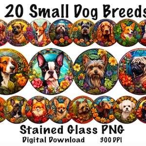 20 Small Dog Breeds Stained Glass PNG Digital Download, Dogs with Floral Bright Colors Stained Glass Files For Sublimation, Wind Spinner PNG