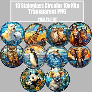 May include: Ten stained glass circular images, each depicting a different animal. The images are in a variety of colors, including blue, green, yellow, orange, and red. The animals include a polar bear, giraffe, otter, horses, owl, penguin, dolphin, elephant, panda, and koala.