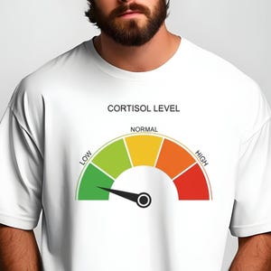 Könnte beinhalten: Weißes T-Shirt mit einer Grafik eines Cortisol-Pegelmessers. Die Anzeige hat eine Nadel, die auf den Bereich "normal" zeigt, mit farbcodierten Abschnitten von grün (niedrig) bis rot (hoch). Der Text "CORTISOL LEVEL" steht darüber.