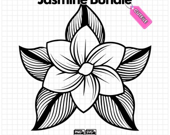 24 Outline flowers Bundle, floral svg files, flower cut file, floral svg, flowers svg, flowers, plotter file, plotter file flowers svg