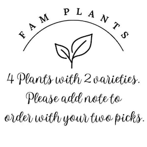 May include: Black and white graphic with the text "FAM PLANTS" above a leaf illustration. The text below reads "4 Plants with 2 varieties. Please add note to order with your two picks."
