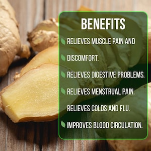 May include: Close-up of fresh ginger slices with the text "BENEFITS" and a list of health benefits, including muscle pain relief and improved blood circulation. The ginger is light brown and yellow.