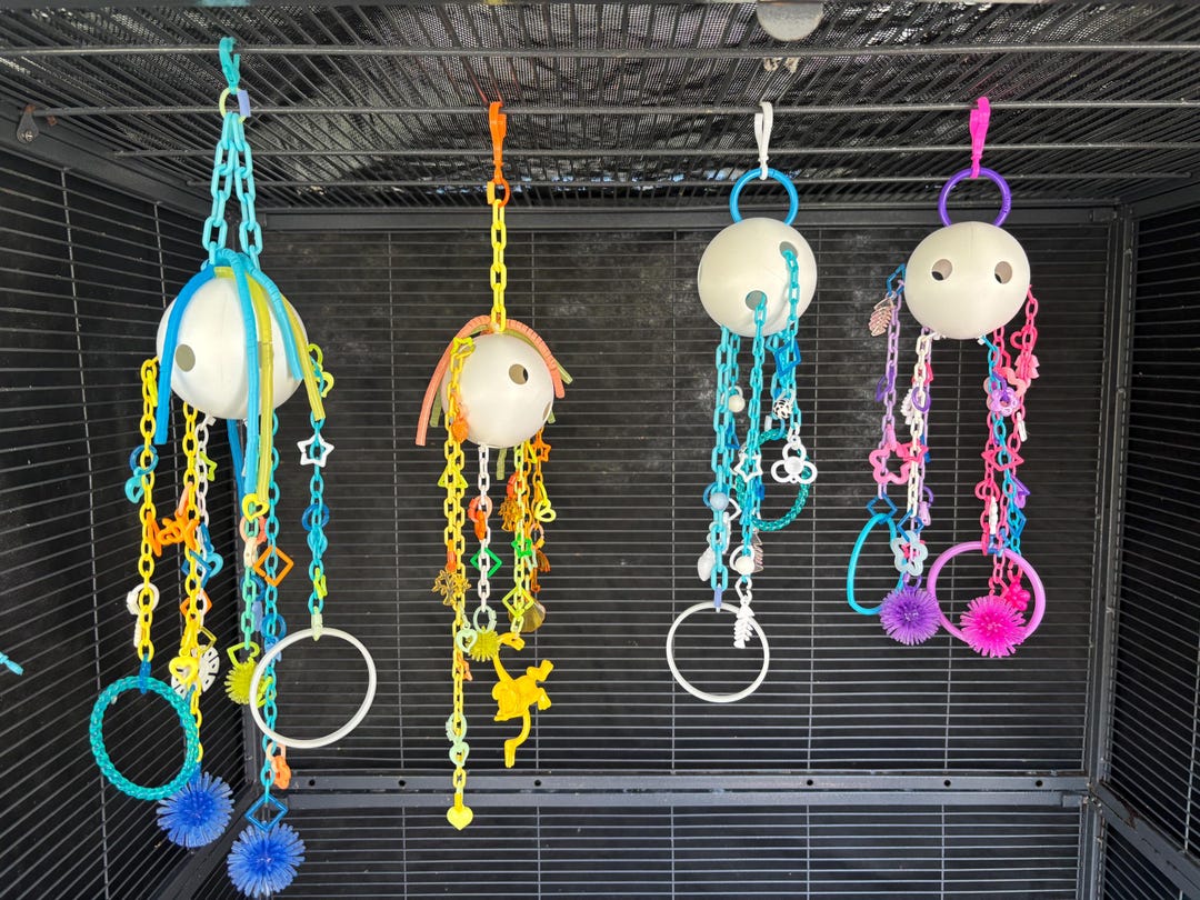 Pully Fun Pulley Chain Enrichment Toy, Exotic Pet/bird/sugar Glider/ferret Cage ...
