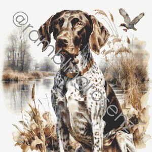 German Shorthaired Pointer - Counted Cross Stitch chart
