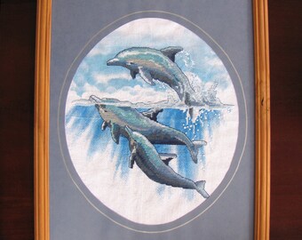 Dolphins in Wooden Frame