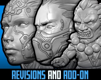 Revision and Add-on Services