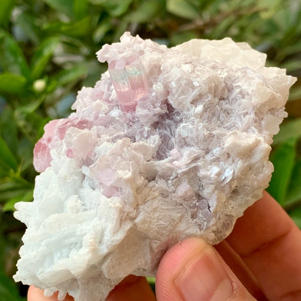231 Gram nice pink tourmaline crystal specimen With lepidolite feldspar from paprok mine Afghanistan