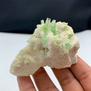 Puede incluir: Un grupo de cristales verdes en una roca blanca. Los cristales son largos y delgados, y están dispuestos en un patrón aleatorio. La roca es rugosa y texturizada.