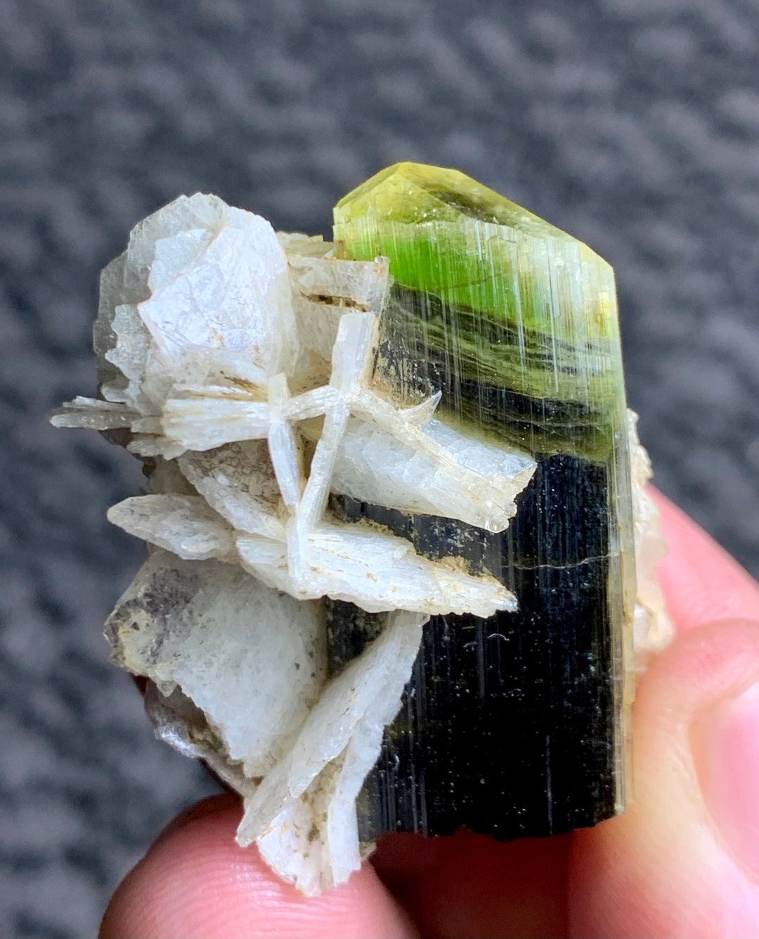 30 Gram Stunning Quality Green Cap Tourmaline Specimen With Nice Albite ...