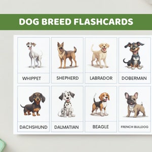 26 Different Dog Breed Flashcards Cartoon Style, Montessori Cards, Flash Cards, Educational Material, Printable PDF