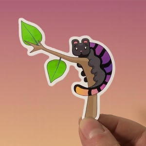 Beartapillar - Sticker mignon - Sticker vinyle mat coloré, art vectoriel, illustration numérique dessinée à la main, sticker pour ordinateur portable et journal