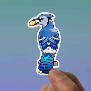 Geai bleu - Sticker mignon - Sticker vinyle mat coloré, art vectoriel, illustration numérique dessinée à la main, sticker pour ordinateur portable et journal