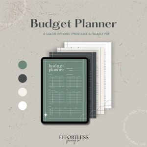 Planificador de presupuesto, plantilla de planificador digital de finanzas mensuales con seguimiento de gastos para Goodnotes en Ipad, PDF de carta imprimible