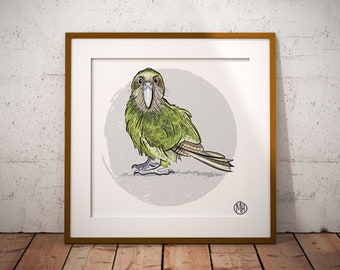 KAKAPO  I  Collectible Art Print  I  New Zealand Birds  I  MH-illustrates