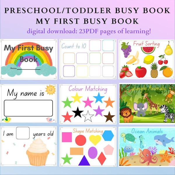 Preschool/toddler busy book