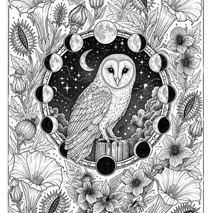 May include: Black and white illustration of a barn owl perched on a wooden post, surrounded by a circular frame depicting the phases of the moon and a starry night sky. Floral and botanical elements frame the owl.