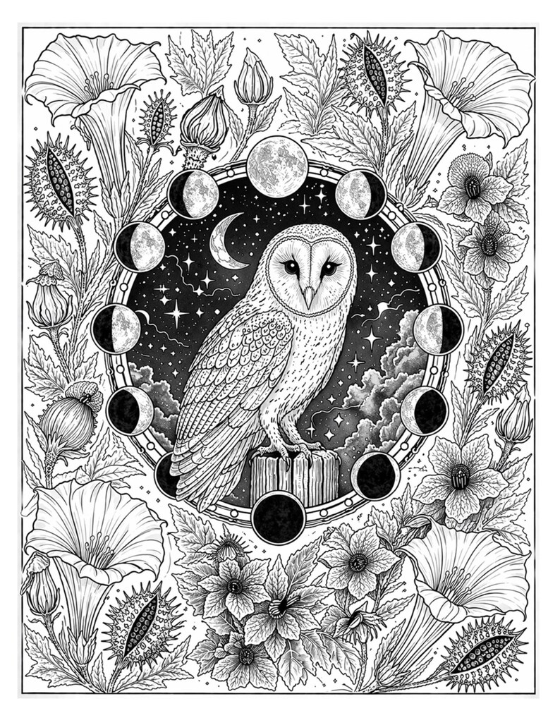 May include: Black and white illustration of a barn owl perched on a wooden post, surrounded by a circular frame depicting the phases of the moon and a starry night sky. Floral and botanical elements frame the owl.