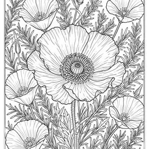 May include: Black and white line drawing of several poppy flowers and foliage. The image features a large, open poppy in the center, surrounded by smaller poppies and various leaves and stems. The image is suitable for coloring.