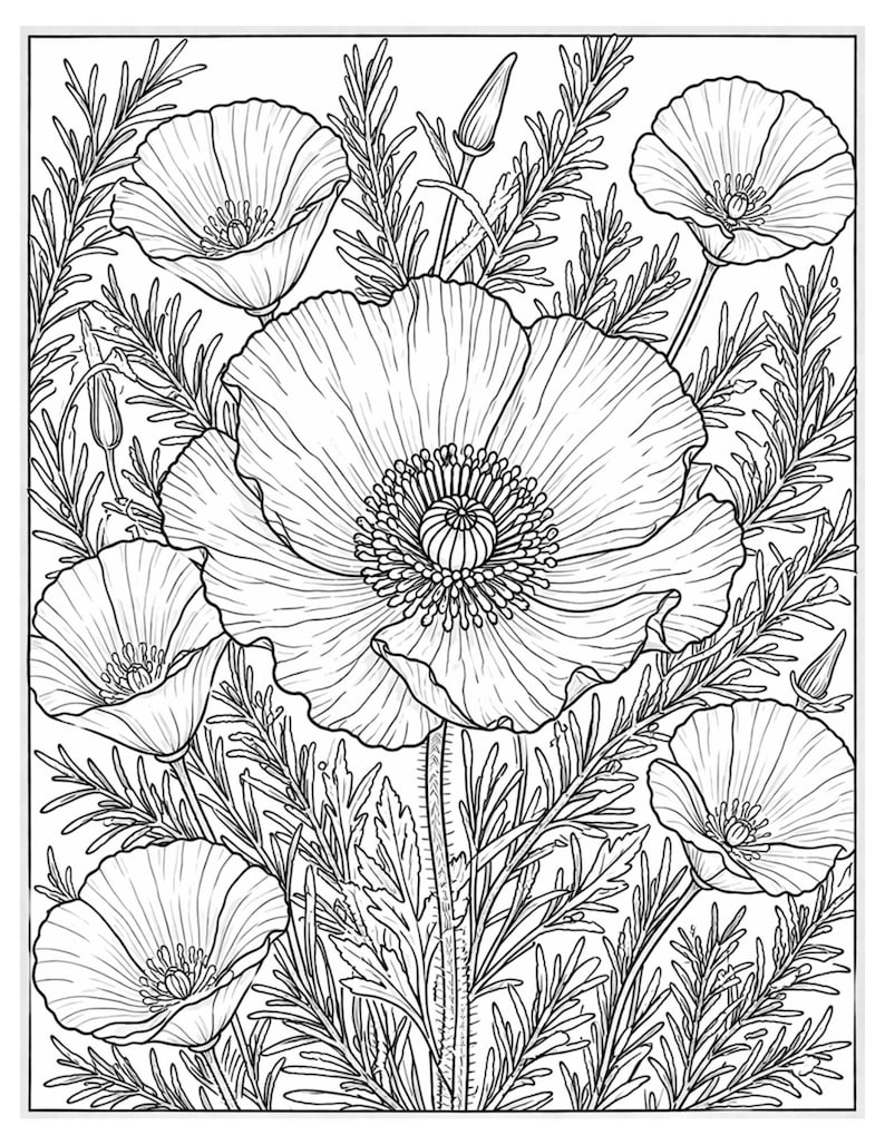 May include: Black and white line drawing of several poppy flowers and foliage. The image features a large, open poppy in the center, surrounded by smaller poppies and various leaves and stems. The image is suitable for coloring.