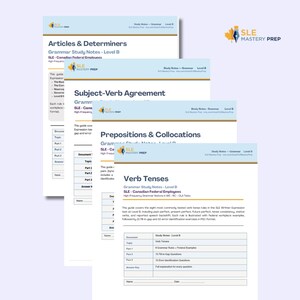 Puede incluir: Una pila de guías de estudio de gramática para la prueba de expresión escrita SLE. Las guías cubren temas como artículos, tiempos verbales y preposiciones. El texto de las guías es en negro y azul.