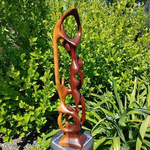 May include: An abstract wooden sculpture with a natural finish. The sculpture features intertwined, flowing forms in shades of brown and reddish-brown, set against a backdrop of green foliage. The artwork is mounted on a dark, square base.