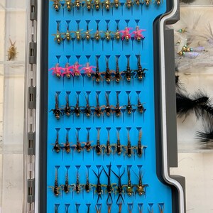 Half loaded nymph box