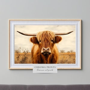 Highland Cow Print | Cow Photography Wall Art | Digital PRINT | Chroma Prints