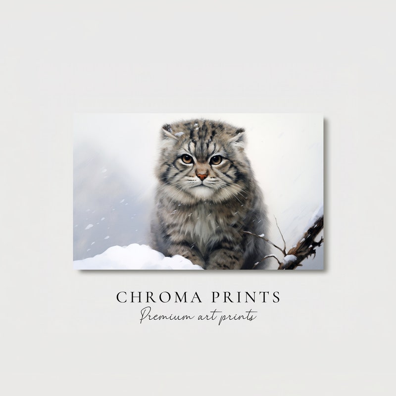Pallas Cat - Etsy