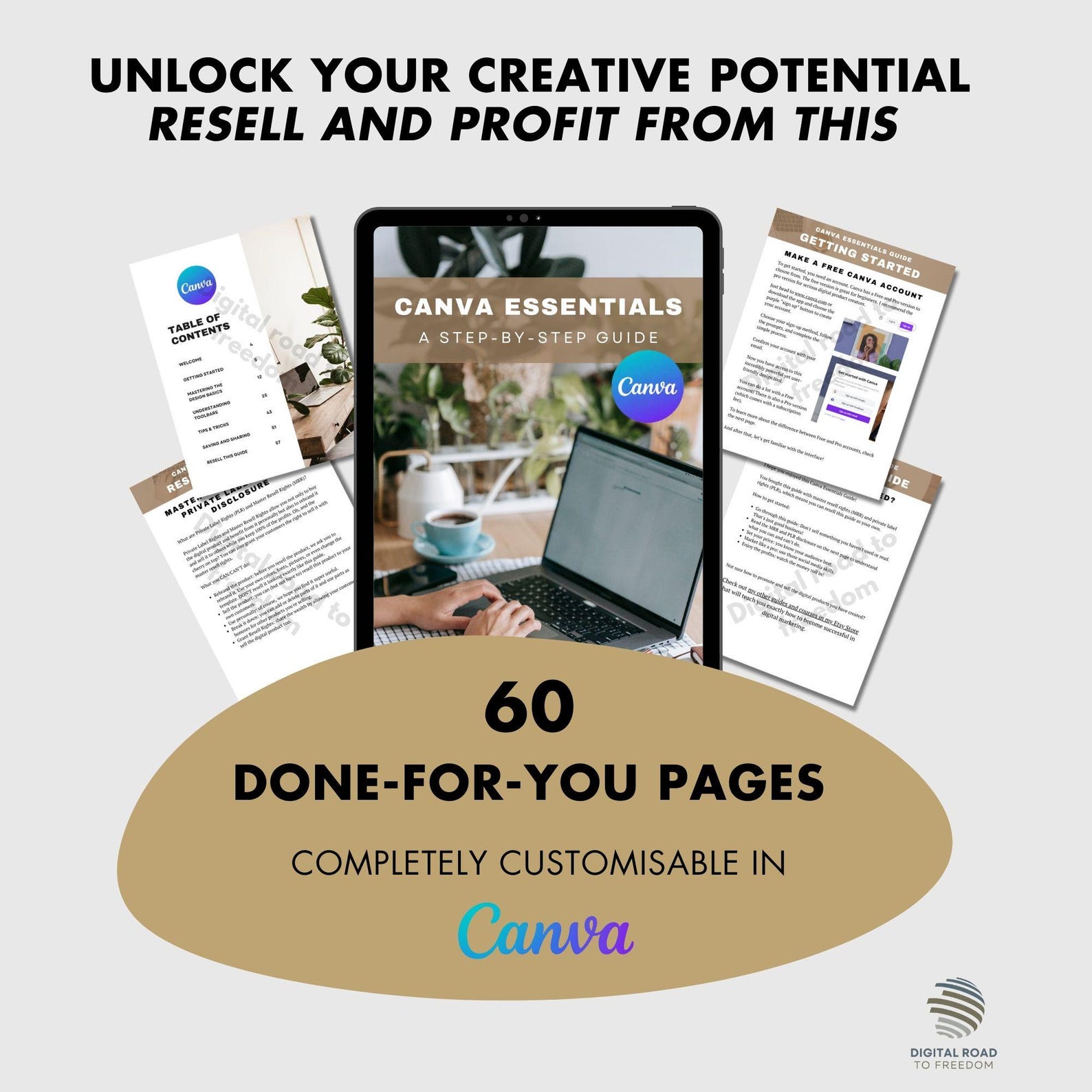 Canva Guide With Master Resell Rights (MRR) - PLR Digital Product ...