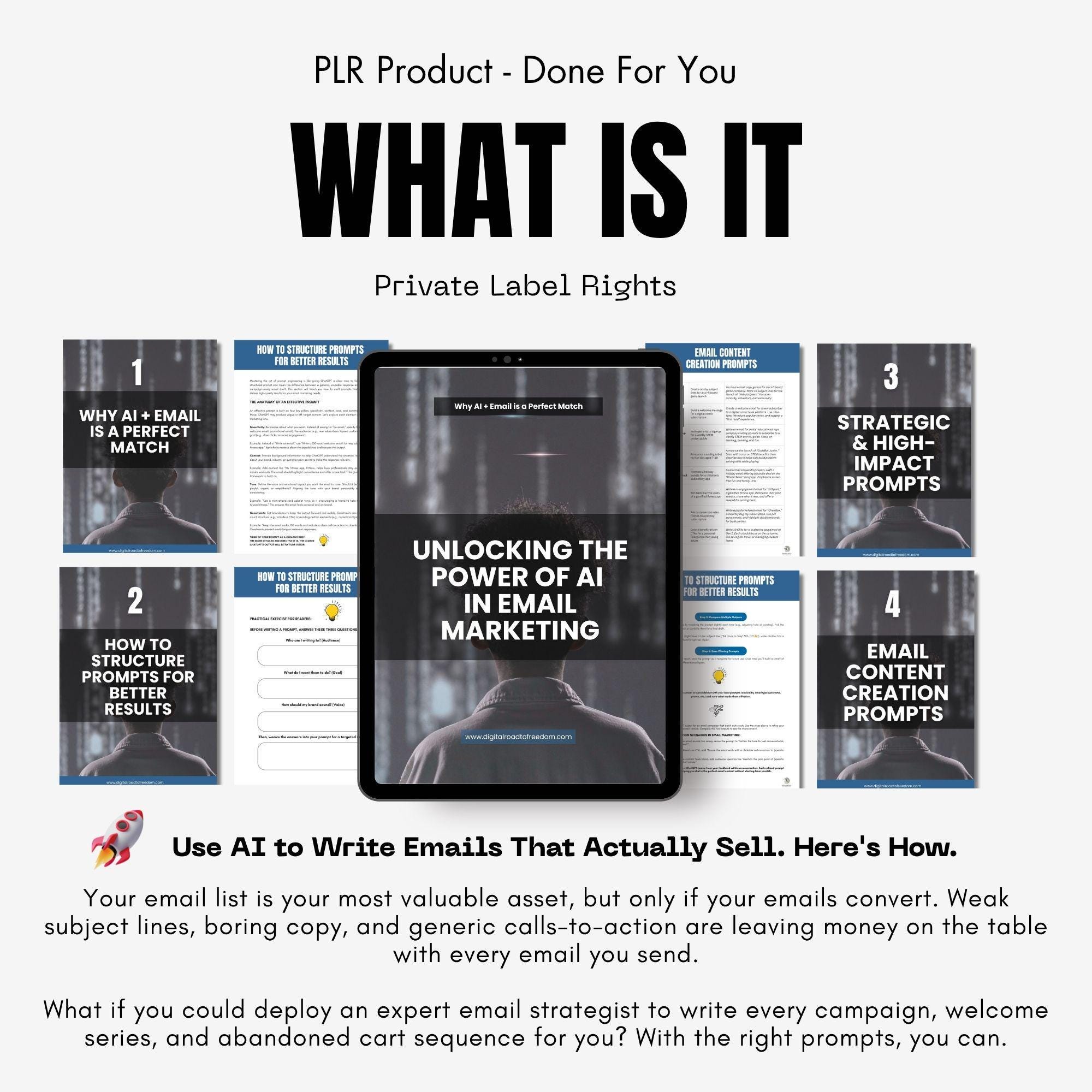 AI Email Marketing Guide: PLR Digital Product With Canva Bonus - Etsy