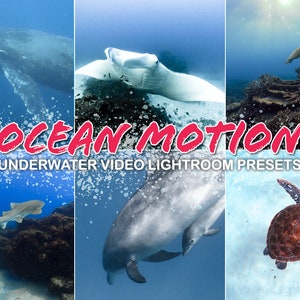 Underwater Video Lightroom Presets | Ocean motion