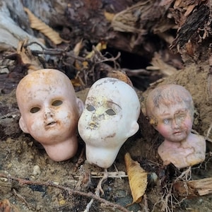 May include: Three antique doll heads with painted features and open eye sockets. The heads show signs of wear, with chipped paint and discoloration. The dolls' heads are resting on a bed of twigs and dirt.