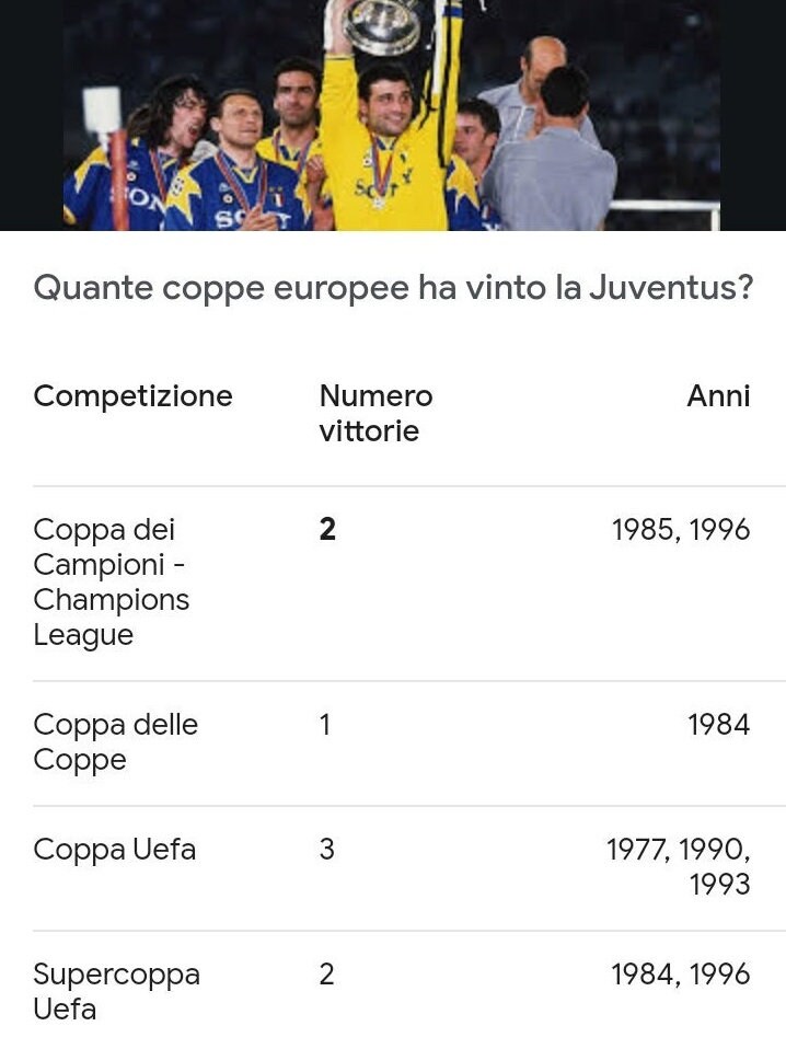 応援グッズ 1980s JUVENTUS F.C. Vintage Flag Juventus 1985, Small Flag, Italian Football Team Juventus