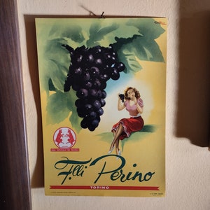 Manifesto pubblicitario 1951, originale Vintage anni '50, fratelli Perino, uva da tavola speciale. Torino Italia. Autorizzazione febbraio 1951, Gian Rosa