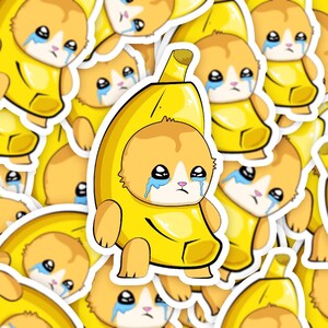 Sticker banaan kat, sticker kat meme, trieste kat kunst, schattig kitten sticker, meme cadeau, dierlijke meme sticker, laptopsticker, sticker huilende kat
