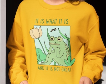 Es lo que es y no es genial, sudadera con meme de rana, regalo sarcástico, sudadera con rana divertida, sudadera con depresión divertida